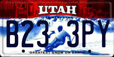 UT license plate B233PY