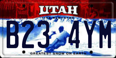 UT license plate B234YM