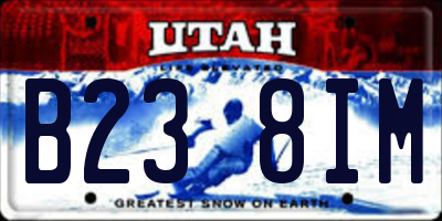 UT license plate B238IM