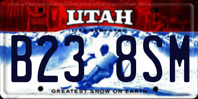 UT license plate B238SM