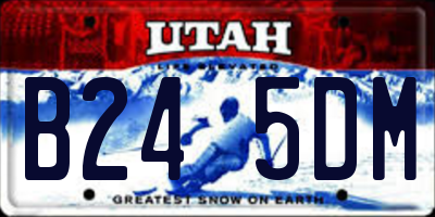 UT license plate B245DM