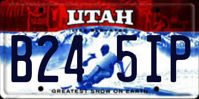 UT license plate B245IP