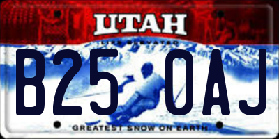 UT license plate B250AJ