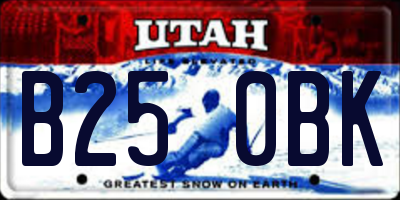 UT license plate B250BK