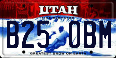 UT license plate B250BM