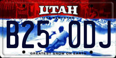 UT license plate B250DJ