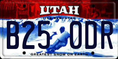 UT license plate B250DR