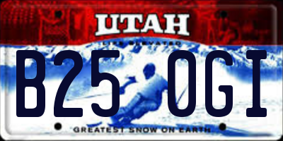 UT license plate B250GI