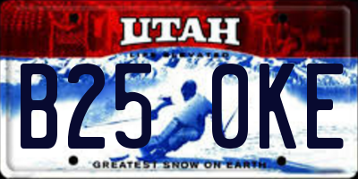 UT license plate B250KE