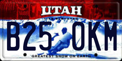 UT license plate B250KM