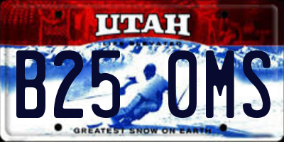 UT license plate B250MS