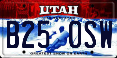 UT license plate B250SW