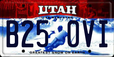 UT license plate B250VI