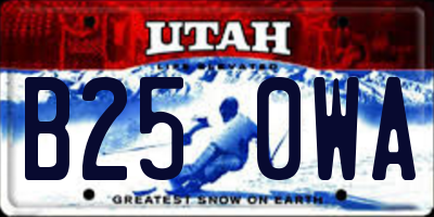 UT license plate B250WA