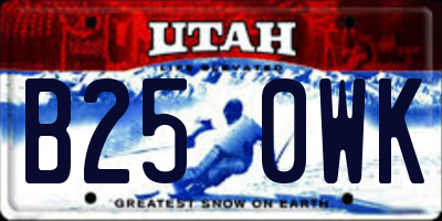 UT license plate B250WK