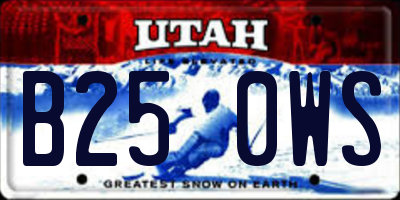 UT license plate B250WS