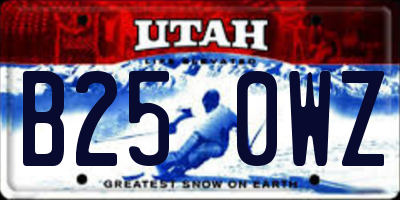 UT license plate B250WZ