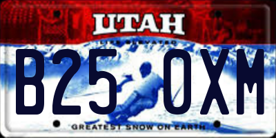 UT license plate B250XM