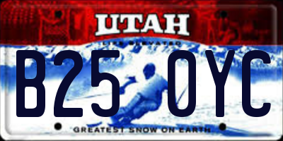 UT license plate B250YC