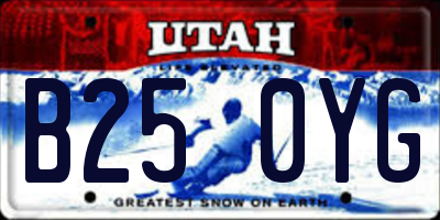 UT license plate B250YG