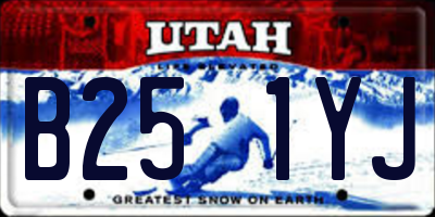 UT license plate B251YJ