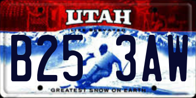 UT license plate B253AW