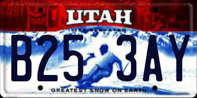 UT license plate B253AY