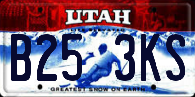 UT license plate B253KS