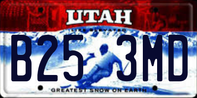 UT license plate B253MD
