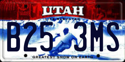 UT license plate B253MS
