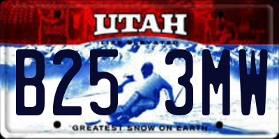 UT license plate B253MW