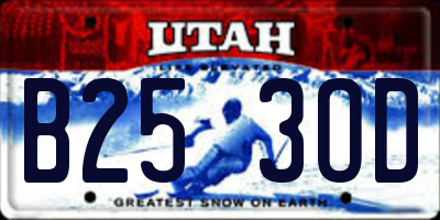 UT license plate B253OD
