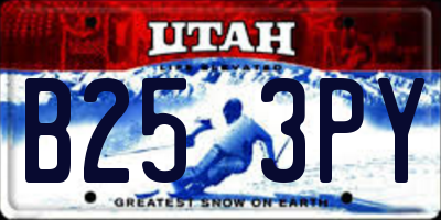 UT license plate B253PY