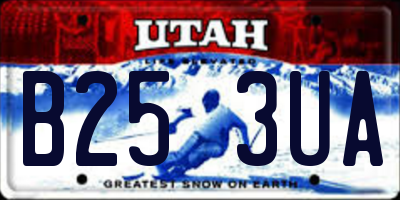 UT license plate B253UA