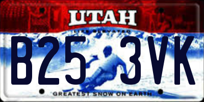 UT license plate B253VK