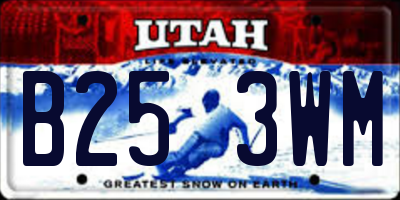 UT license plate B253WM