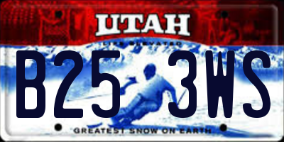 UT license plate B253WS