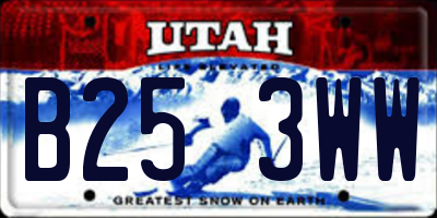 UT license plate B253WW