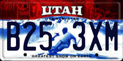 UT license plate B253XM