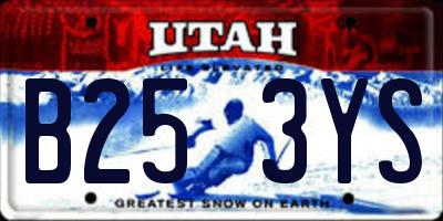 UT license plate B253YS