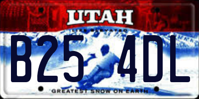 UT license plate B254DL