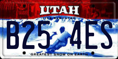 UT license plate B254ES