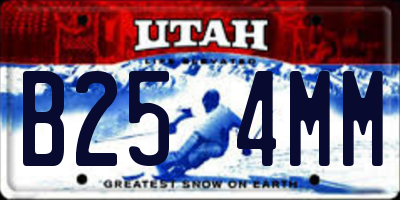 UT license plate B254MM