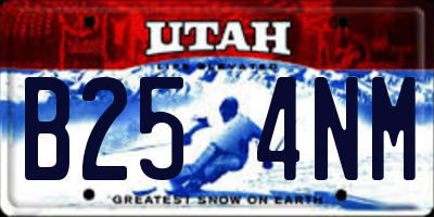 UT license plate B254NM