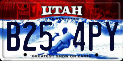 UT license plate B254PY