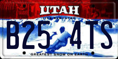 UT license plate B254TS