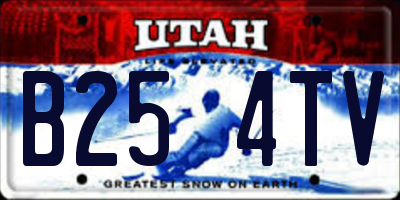 UT license plate B254TV
