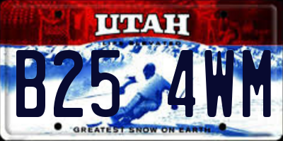 UT license plate B254WM