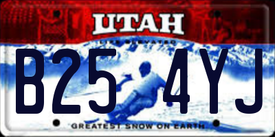 UT license plate B254YJ