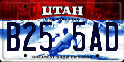 UT license plate B255AD